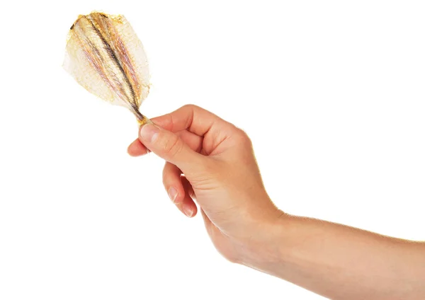 Сушеная соленая рыба для пива в руке, изолированной на белом — стоковое фото