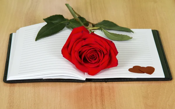 Livre de journal ouvert avec une rose rouge — Photo