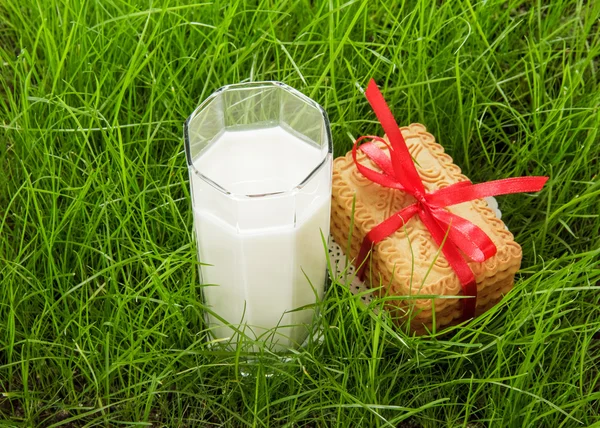 Verre de lait frais et biscuits sur herbe verte — Photo