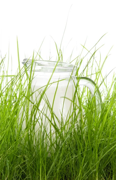 Milchkrug im Gras auf weißem Hintergrund — Stockfoto