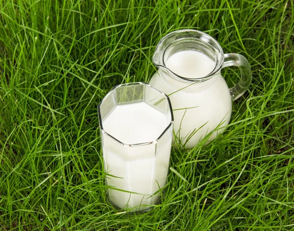 Glas und Krug mit frischer Milch auf grünem Gras — Stockfoto