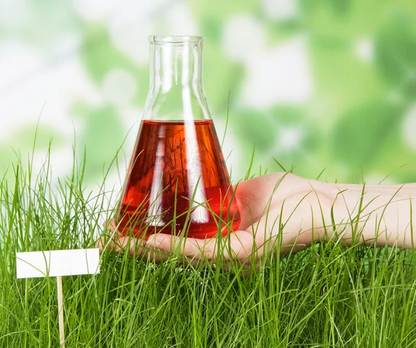 Chemická baňka s experimentální kapalinou proti zelené trávy — Stock fotografie