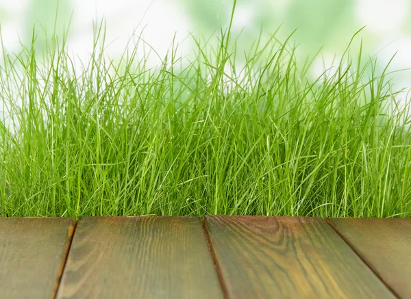 Frisches frühlingshaftes grünes Gras mit Holzboden — Stockfoto
