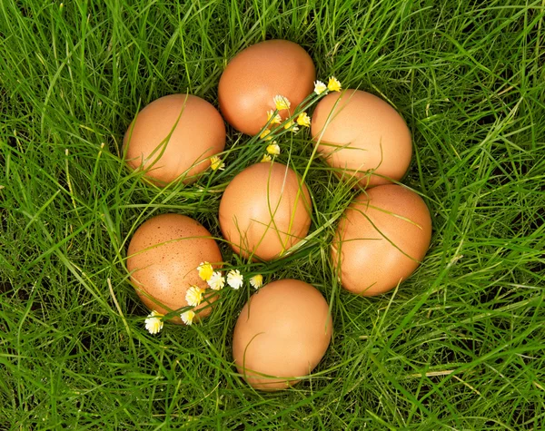 Yellow eggs lie on green grass — Stock Photo, Image