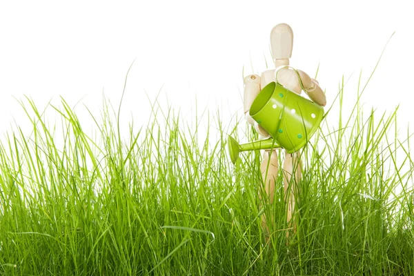 Green tall grass and man with watering can — Stock Photo, Image