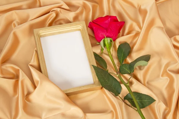 Empty photoframe with rose Royalty Free Stock Photos