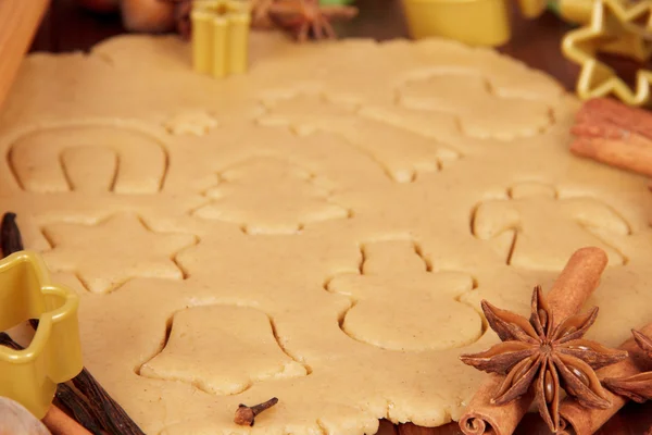 Dough for gingerbread cookies and spices closeup — Stock Photo, Image