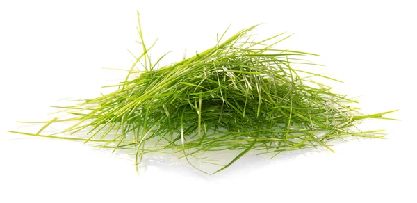 Green cutaway grass — Stock Photo, Image