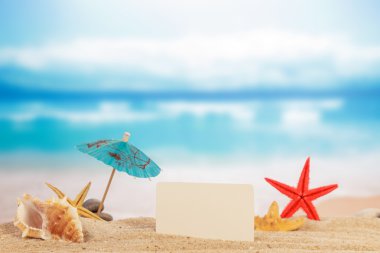 kart ve kum üzerinde cockleshells