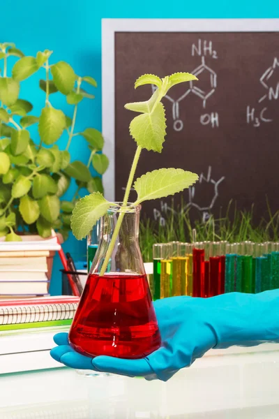 Chemical flask with experimental liquid — Stock Photo, Image