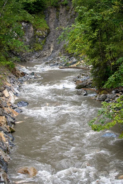 Disparo Vertical Río Garganta Liechtensteinklamm Pongau Austria — Foto de Stock