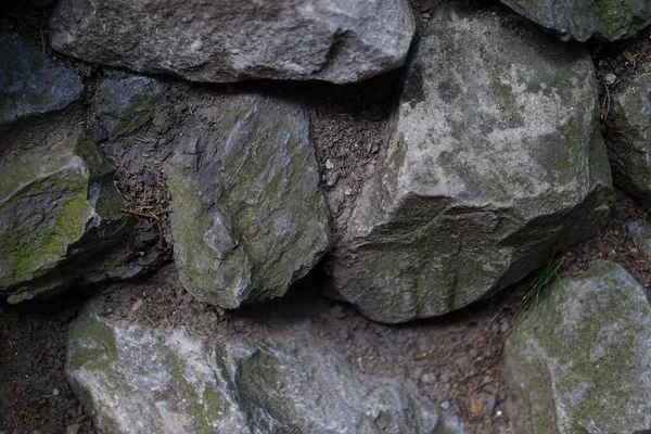 Biraz Yosun Kaplı Kayaların Yakın Çekim Görüntüsü — Stok fotoğraf
