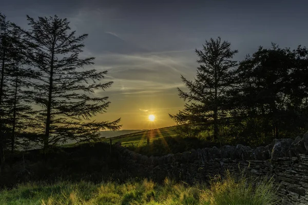 澄んだ空に昇る太陽と緑の野と早朝の拳の自然の風景 — ストック写真