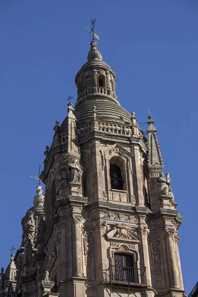 스페인 살라망카에 역사적 대성당의 수직낮은 각도의 — 스톡 사진