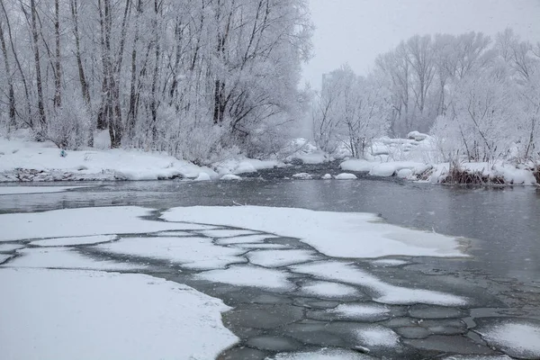 Die Frostigen Bäume Die Ufer Eines Gefrorenen Flusses Wachsen — Stockfoto