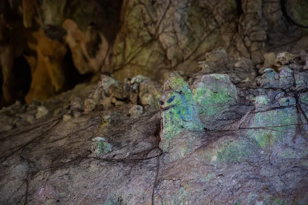 Enfoque Selectivo Una Pared Cueva Parcialmente Cubierta Manchas Verdes —  Fotos de Stock
