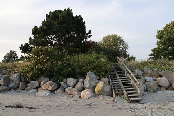 Деревянная Лестница Камни Песке Против Деревьев Неба Пляже Балтийского Моря — стоковое фото