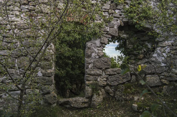 Una Vista Muro Piedra Entre Los Árboles Bosque —  Fotos de Stock