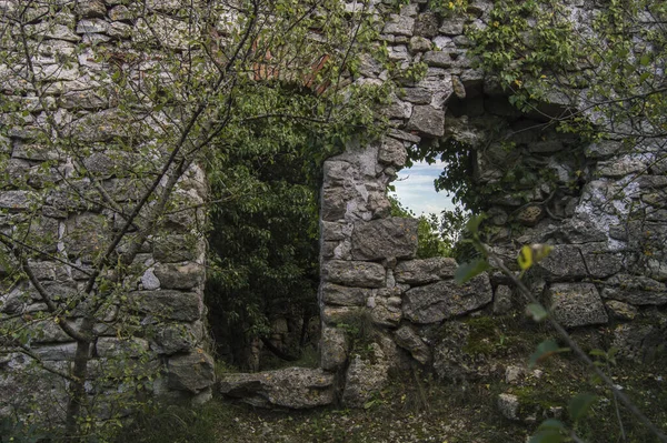 Uma Vista Uma Parede Pedra Entre Árvores Floresta — Fotografia de Stock