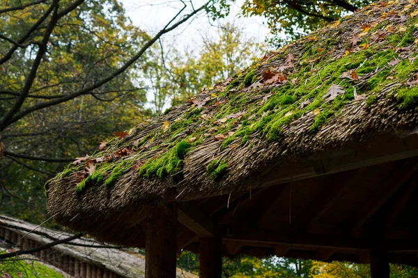 Zdjęcie Zbliżeniowe Starego Dachu Strzechy Pokrytego Roślinami Opadającymi Liśćmi — Zdjęcie stockowe
