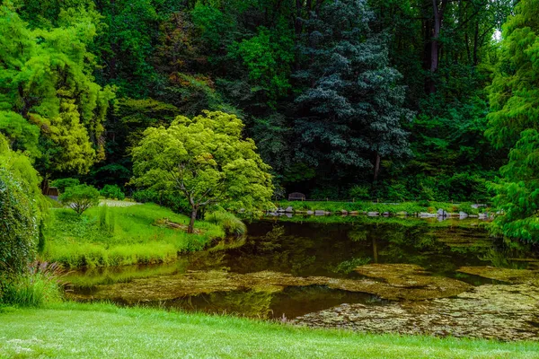 Egy Zöld Park Magas Sűrű Fákkal Egy Vizes Zónával Egy — Stock Fotó