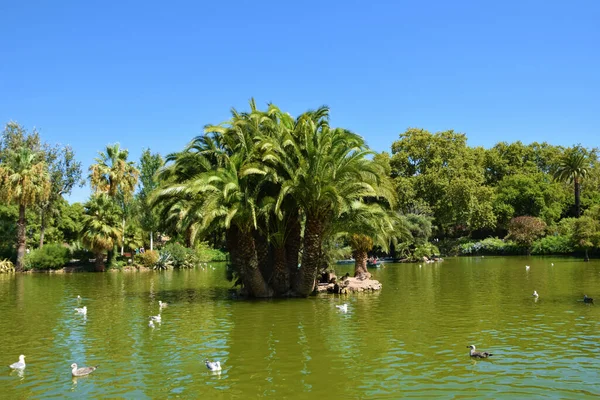 Lago Parc Ciutadella Barcelona Espanha — Fotografia de Stock