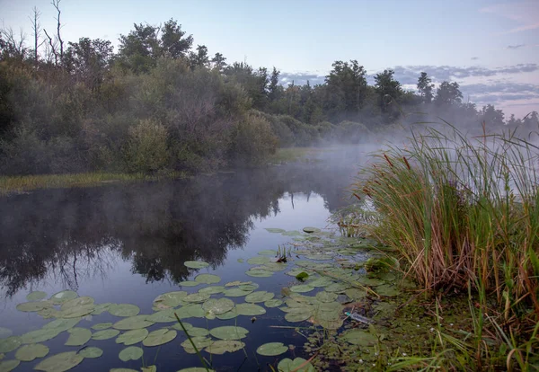 Piękny Widok Rzekę Świcie Trzcinami Rosnącymi Wzdłuż Brzegów Chmurami Odbitymi — Zdjęcie stockowe