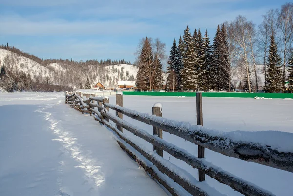 Ein Winter Mit Baumstämmen Eingezäuntes Ackerland — Stockfoto