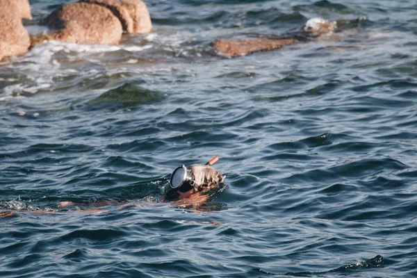 Ένα Άτομο Μάσκα Ψαροντούφεκου Που Κολυμπάει Στη Θάλασσα — Φωτογραφία Αρχείου