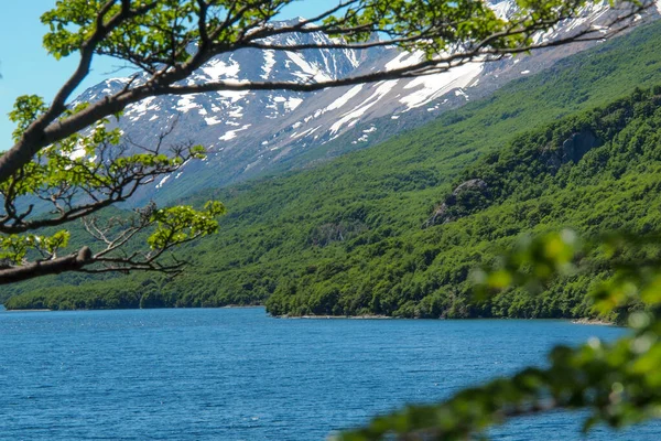 Blick Auf Den Lago Del Desierto Bei Chalten Patagonien Argentinien — Stockfoto