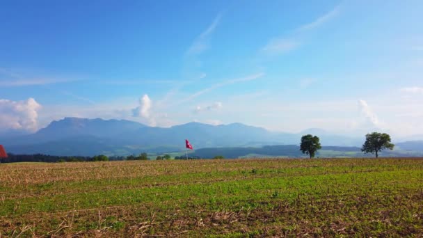 Bela Paisagem Com Campo Milho — Vídeo de Stock