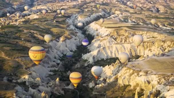Heißluftballons Red Rose Valley Goreme Kappadokien Bei Sonnenuntergang — Stockvideo