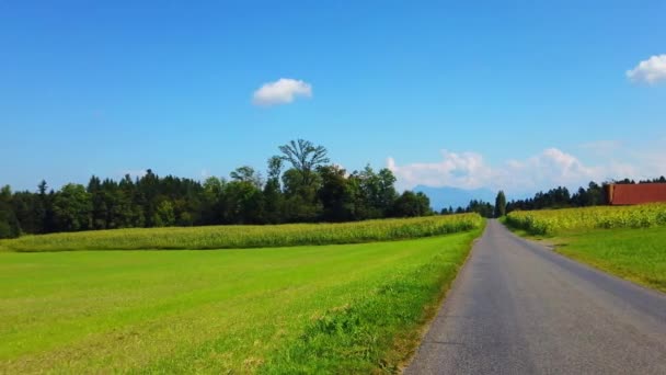 Groen Veld Met Een Blauwe Lucht — Stockvideo