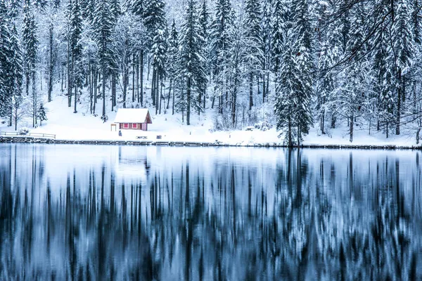 Una Hermosa Toma Río Rodeado Por Bosque Cubierto Nieve —  Fotos de Stock