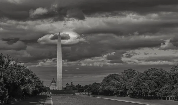 Grayscale Shot Washington Monument Obelisk Nearby Vegetation Cloudy Sky — Stock Photo, Image