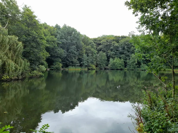 美丽的森林中平静的湖中的特写镜头 — 图库照片
