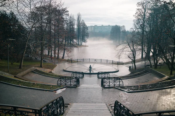 布加勒斯特Alexandru Ioan Cuza公园Titan湖前面的楼梯 — 图库照片