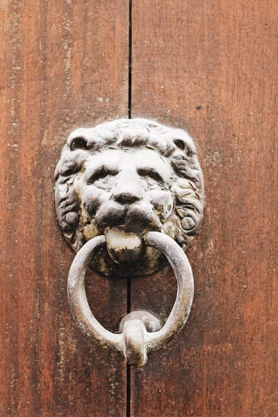 Ein Alter Löwenkopf Klopft Die Holztür — Stockfoto