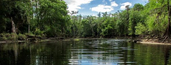Uma Vista Panorâmica Cena Natureza Fisheating Creek Flórida — Fotografia de Stock