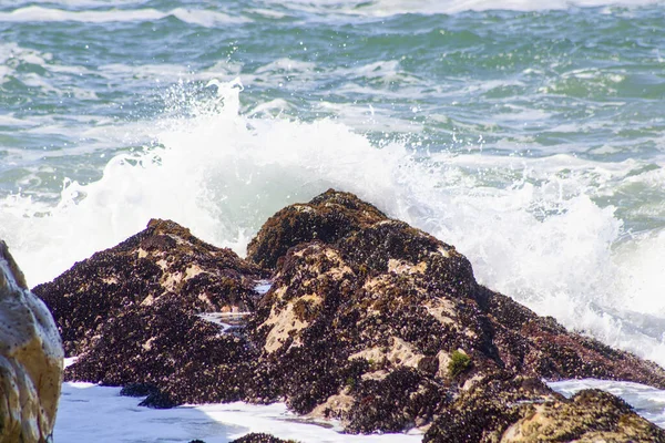 海岸の岩の層に海の水が飛び散る — ストック写真