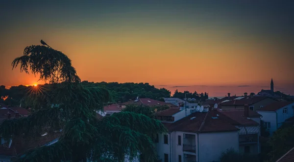 Όμορφη Φωτογραφία Ενός Πολύχρωμου Ηλιοβασιλέματος Στην Πόλη Ροβίνι Της Κροατίας — Φωτογραφία Αρχείου
