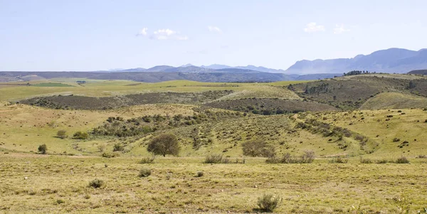 Une Terre Agricole Dans Province Cap Occidental Afrique Sud — Photo