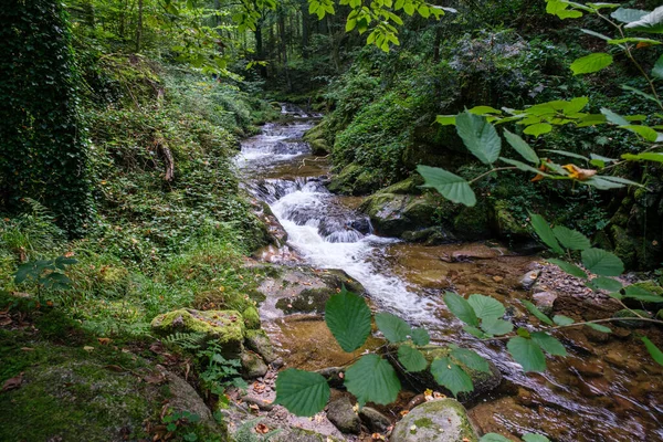 Ρυάκι Γκρόμπαχ Ρέει Στο Μαύρο Δάσος Κοντά Στο Baden Baden — Φωτογραφία Αρχείου