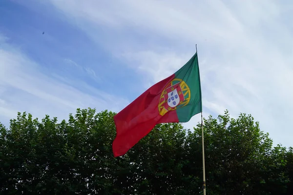 Beautiful Shot Portuguese Flag Surrounded Trees Blue Sky Background — Stock Photo, Image