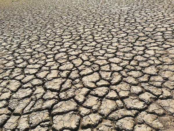 乾燥した割れた土壌の質感と地面の背景 — ストック写真