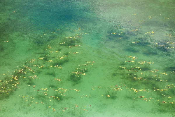 Eine Schöne Aufnahme Der Klaren Lagune Lencois Maranhenses Brasilien — Stockfoto