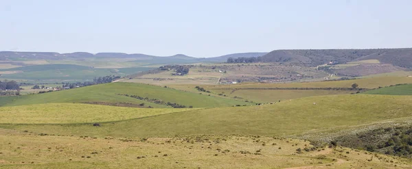 Een Landbouwgrond Western Cape Province Zuid Afrika — Stockfoto