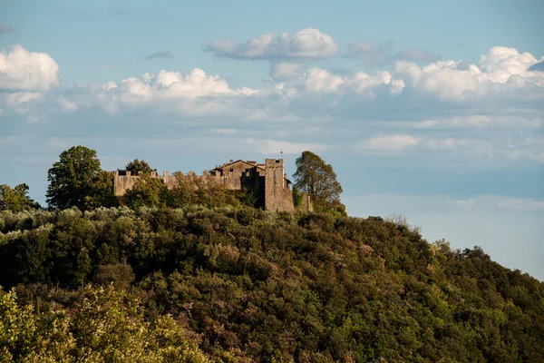 Luftaufnahme Einer Burg Auf Dem Bewaldeten Hügel — Stockfoto