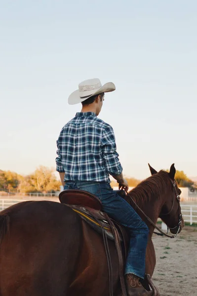 Rear View Young Male White Hat Beautiful Brown Horse Fenced — Stock Photo, Image