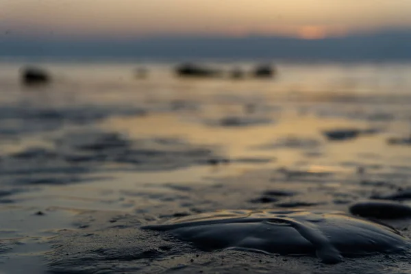 海滩上美丽的湿沙滩的特写镜头 背景是朦胧的落日 — 图库照片